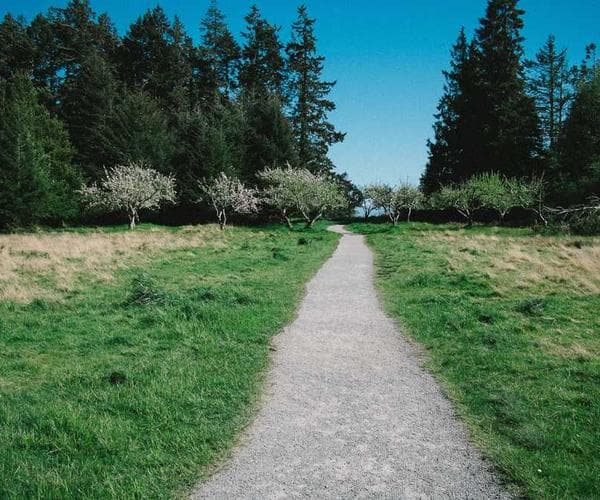 Sustainable travel: How to minimize your environmental impact
