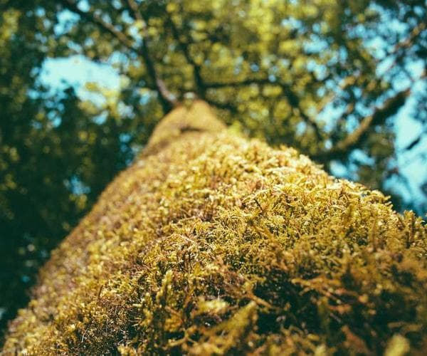 Travel photography tips: Capturing stunning images on the go